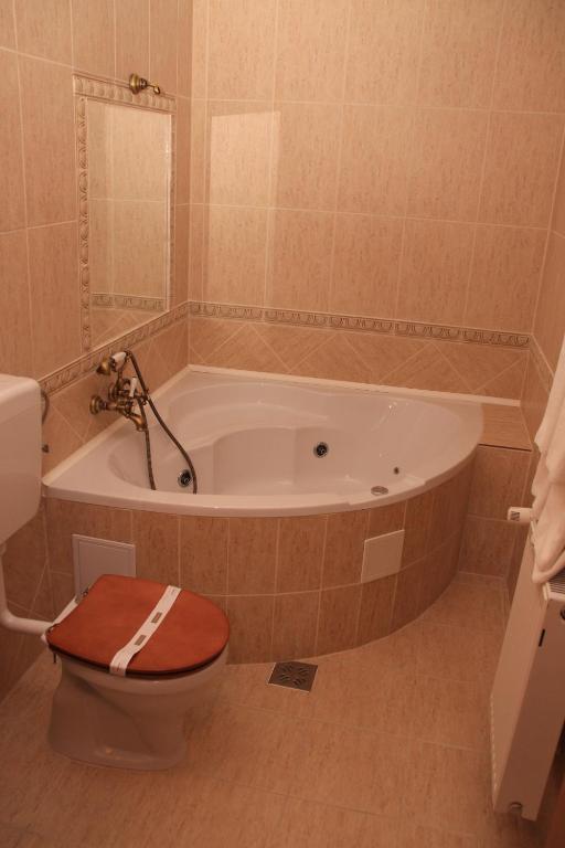 Hotel Ozon Harghita-Băi Værelse billede